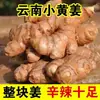 Gengibre amarelo de Yunnan cultivado em fazenda, recém-desenterrado, gengibre para atacado, gengibre velho autêntico, gengibre jovem, caixa inteira para cuidados pós-parto