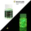 Polvo de Lentejuelas Luminosas con Brillo Transfronterizo 12 Colores Mezclados Polvo de Brillo Fluorescente Pegamento Flujo de Cáñamo DIY Lentejuelas Luminosas para Uñas