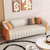 Apartamento Pequeño Sofá Italiano de Lujo Ligero Barbería Zona de Descanso Alquiler de Apartamento Tienda de Ropa Sofá de Dos o Tres Plazas Combinación de Colores