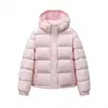 Inverno Novo Estilo Rosa Claro Estilo Coreano Jaqueta de Algodão com Penas Feminina Solta Acolchoada com Capuz Quente à Prova de Vento Jaqueta de Algodão Roupa de Fora para Casal