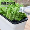 Venta directa de fábrica de macetas de plástico rectangulares autoabsorbentes para flores perezosas, para cultivo de verduras en balcón, cilantro y Pothos.