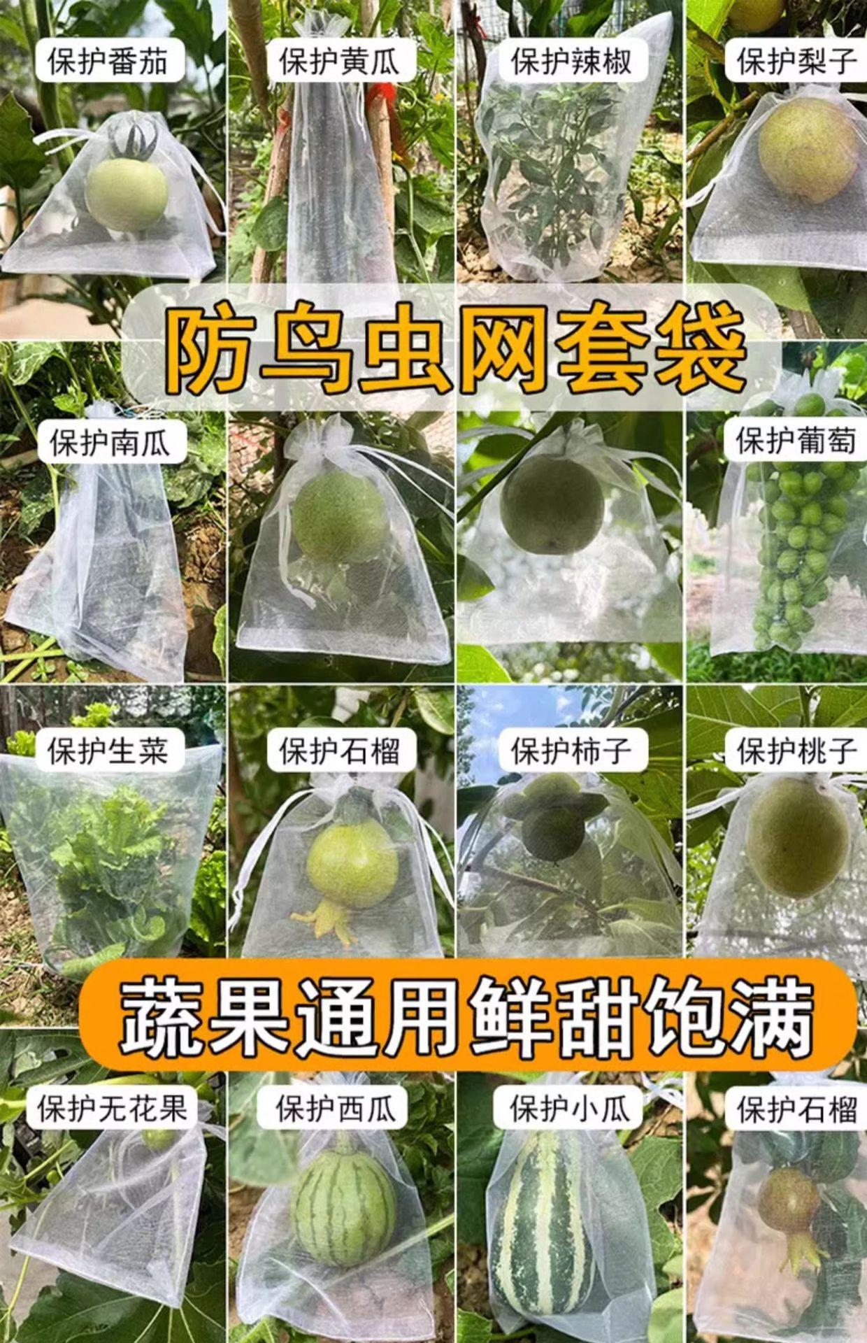 详情0.jpg