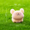 Micro Paisagem Criativa Desenho Animado Pelúcia Cachorrinho Branco Boneca Caixa Surpresa Decoração Acessórios Carro Decorações de Mesa Atacado