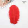 Punto 20-25cm color pluma de avestruz pluma de avestruz flor de arreglo DIY pluma