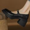 Zapatos Mary Jane de una sola capa con plataforma gruesa y tacón grueso, estilo británico retro, para mujer, primavera y otoño, color antiguo pulido, puntera redonda, versátiles, de boca poco profunda, tacón alto