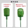 Suporte Moldador para Buquê de Plantas Suculentas Verdes, Fixador de Haste Longa Plástico Oco para Suporte de Flores, Acessórios para Embalagem de Plantas em Vasos DIY