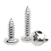 Tornillos Autorroscantes Cabeza Redonda Cruzada Acero Inoxidable 316 Estándar Nacional Cabeza Plana Extendida Cabeza Grande Diente de Madera Mm2M3M4M5M6