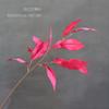 Boda Rosa Rojo Flor de Simulación Boda Flor Falsa Flor de Camino Material Fila de Flores Flor Flor de Seda Paisaje de Ventana Arte Floral de Cascada