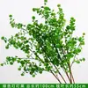 Plantas Verdes Flores Artificiales Hierba Aspargo Colgante Decoración de Fondo de Arte Floral para Bodas Flores Falsas Estilo Bosque Escenario de Boda Arreglo Floral