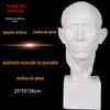 Bolant pescador anatomia muscular gesso figura gesso cabeça retrato fazendeiro músculo gesso auxiliares de ensino escultura pêndulo