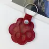 Llavero con Huella de Patita de Gato Bolsa de Almacenamiento de Pelo de Mascota de PU Llavero Portátil con Colgante de Huella de Patita Suministros para Mascotas Gato y Perro
