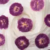 Flores de rosa, flores prensadas, flores secas, cartões de felicitações DIY, marcadores de página, acessórios para joias de resina, materiais para velas perfumadas, folhas secas prensadas, real