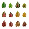 Hoja de Palma Roja Pequeña Plantas Verdes Artificiales Hojas Artificiales Accesorios DIY Boda Decoración del Hogar Hojas de Cinta de Ratán