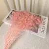 Nochevieja Flor Eterna Hierba Bigote de Dragón Material Paisaje Pino Penglai Día de Año Nuevo Colgante de Frijol Arroz Bienvenida de Boda Rosa Decoración del Hogar