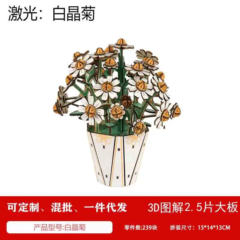 馨联-白晶菊.jpg