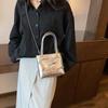 Bolso pequeño popular de este año para mujer 2023, nuevo bolso bandolera con cadena combinable, sencillo y con textura, bolso bandolera portátil.