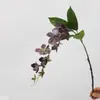 Colgante de planta Fruto de aliso Pegamento suave Fruto de frijol del amor Colgante de pared Decoración de paisajismo Accesorios para arreglos florales Seda suave