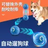 Bola de Salto Elétrica Inteligente Resistente à Mordida para Cães Gatos Brinquedo Interativo Elástico que Rola Gravidade Auto Prazer