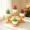 Simulación Nórdica Simple Creativa Mini Suculenta Planta en Maceta Pequeña Adornos Decoraciones para Escritorio de Hogar Oficina