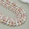 Cuentas de Concha Natural Color Mixto Maillard Blanco Gris Morado Rosa Dulce Iridiscentes Material para Collar de Perlas Hecho a Mano DIY