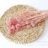 Atacado Flor de Milho Flor Seca Imortal Cor Bleached Flor Real Decoração de Casa Pacote de Material DIY Flor Imortal Transfronteiriça