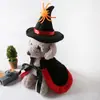 Ropa para Gato Mascota Halloween Gatito y Perro Academia de Magia Capa Divertido Disfraz Festivo Chal