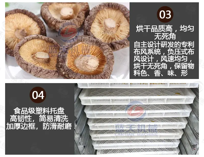 食品(20盘)_07.jpg