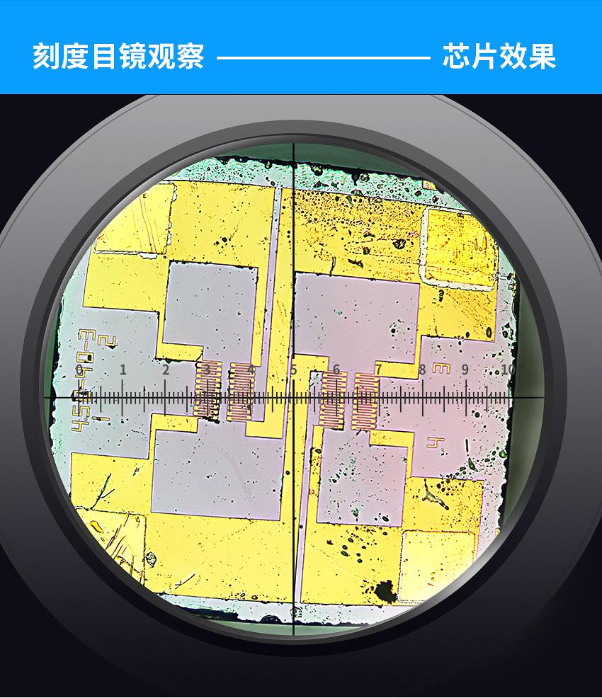 目_06.jpg