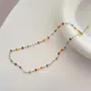 Collar Colorido de Nicho para Mujer Cadena de Clavícula de Celebridad de Internet de Moda 2026 Nuevo Estilo Simple Ins Gargantilla Joyería de Cuello Collar