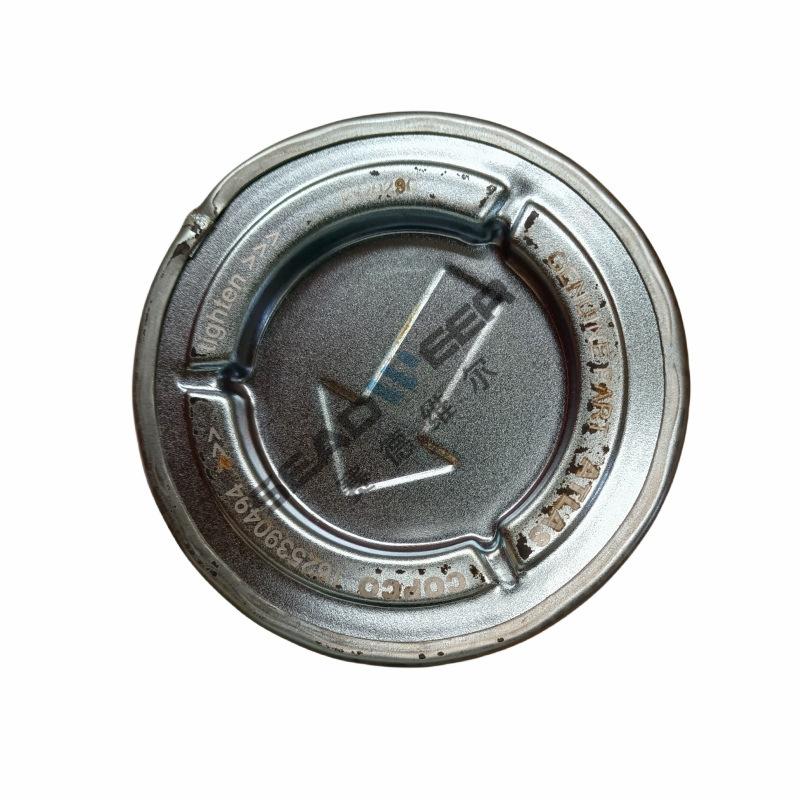 阿特拉斯GHS螺杆真空泵油气分离器滤芯1625390494