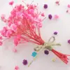 Tarjeta de Felicitación Plegable con Flor de Gypsophila Seca Transfronteriza para Bendiciones, Regalo, Tarjeta de Mensaje Festivo de Cumpleaños con Forma de Corazón, Jubilación