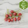 Ingredientes para Hot Pot de Simulação Modelo de Hot Pot Ornamentos Material Raiz de Lótus Cogumelo Alga Edamame Restaurante Rústico Macarrão