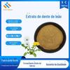 Extrato de Dente-de-leão em Pó Solúvel em Água 10:1/20:1/50:1 Homologia de Alimentos Medicinais Três Certificados Completos