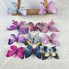 Pequeno Livro Vermelho Internet Celebrante Explosões Borboleta Flor Parede Simulação Flor Cabelo Cartão Phalaenopsis diy Monet Janela Borboleta Flor Decorativa
