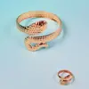 Conjunto de Anel e Pulseira Serpentina Europeu e Americano Mais Vendido na Fronteira, Acessórios Femininos Modernos com Personalidade, Retrô, Simples e Versáteis