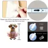 Plug de Pó para Celular Cruzado 2D Plano de Acrílico Ornamento Tipo Pingente de Gato Fofo Interface Oval Tipo-C Desenho Animado