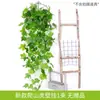 Colgante de pared artificial planta verde colgante de pared flor artificial ratán pared hoja de plástico artificial orquídea colgante hoja decorativa cesta colgante Rosa Verde