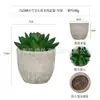 Planta en Maceta Artificial Mini Transfronteriza Hecha a Medida Adornos de Escritorio Bonsái Suculento de Simulación Flor Artificial Planta Verde Pulpa Suculenta Planta en Maceta