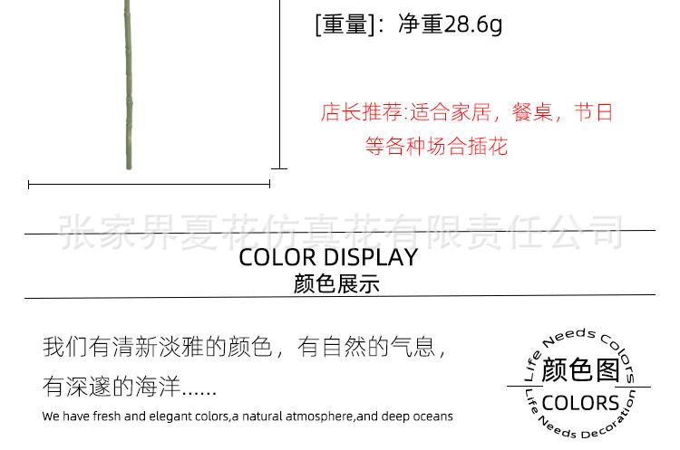 详情页_04.jpg
