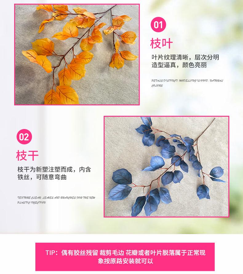 产品细节2-最终.jpg