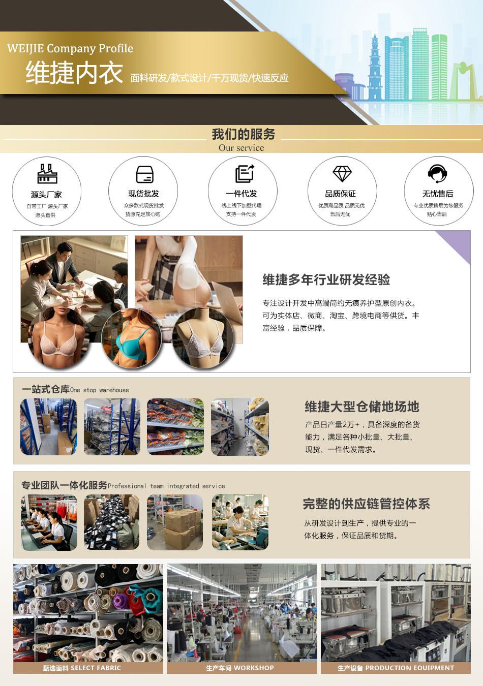 维捷详情