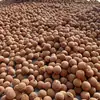 Lichis Secos de Guangdong, Fruta Grande, Variedad Guiwei de Gaozhou, Hueso Pequeño, Secados Naturalmente al Sol, Nueva Cosecha de 2026, Piel Fina, Pulpa Espesa, Lichis Secos