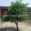 Simulación de árbol de Banyan pequeño simulación modelado de árbol de Banyan simulación de árbol de Banyan con forma especial sentido de diseño de árbol de Banyan árbol de Banyan venta caliente ventas directas de fábrica
