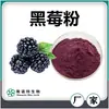 Polvo de Mora Concentrado de Mora en Polvo Instantáneo Ingrediente Alimenticio Extracto de Mora Polvo de Frutas y Verduras Bebida Sólida Polvo Sustituto de Comida