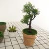 Mini bonsai pequeño pino pequeño de alta simulación en maceta adornos feng shui decoración del hogar pino de bienvenida bonsai accesorios para fotos
