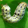 Cebo Spodoptera litura Cebo de tapón de goma con feromona de insecto núcleo Spodoptera litura