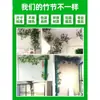 Tubo de bajada decoración aire acondicionado calefacción gas embellecimiento cubierta plantas verdes bambú artificial flores artificiales árbol plástico corteza de árbol