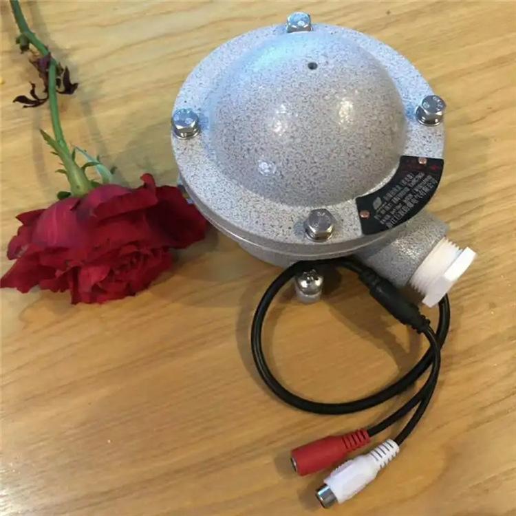 防爆防水拾音器 (8)