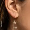 Pendientes colgantes de estrella con circonita de diamantes completos, modernos y versátiles, estilo europeo y americano, pendientes personalizados de acero inoxidable con borlas de lujo ligero