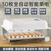 Incubadora, Incubadora de Huevos Pequeña Totalmente Automática, Incubadora Doméstica, Incubadora para Pollos, Patos, Gansos, Palomas, Codornices
